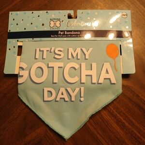 Buttons & Bones Pet Bandana - It's My Gotcha Day